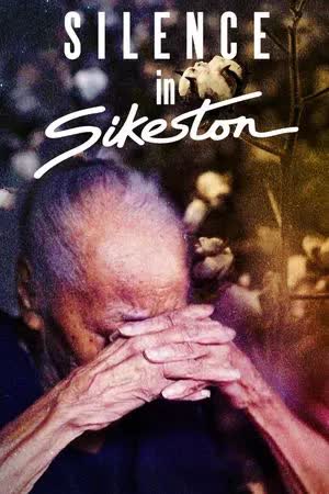 Silence in Sikeston (2024) [NoSub]