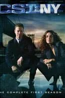 CSI New York Season 1 (2004)