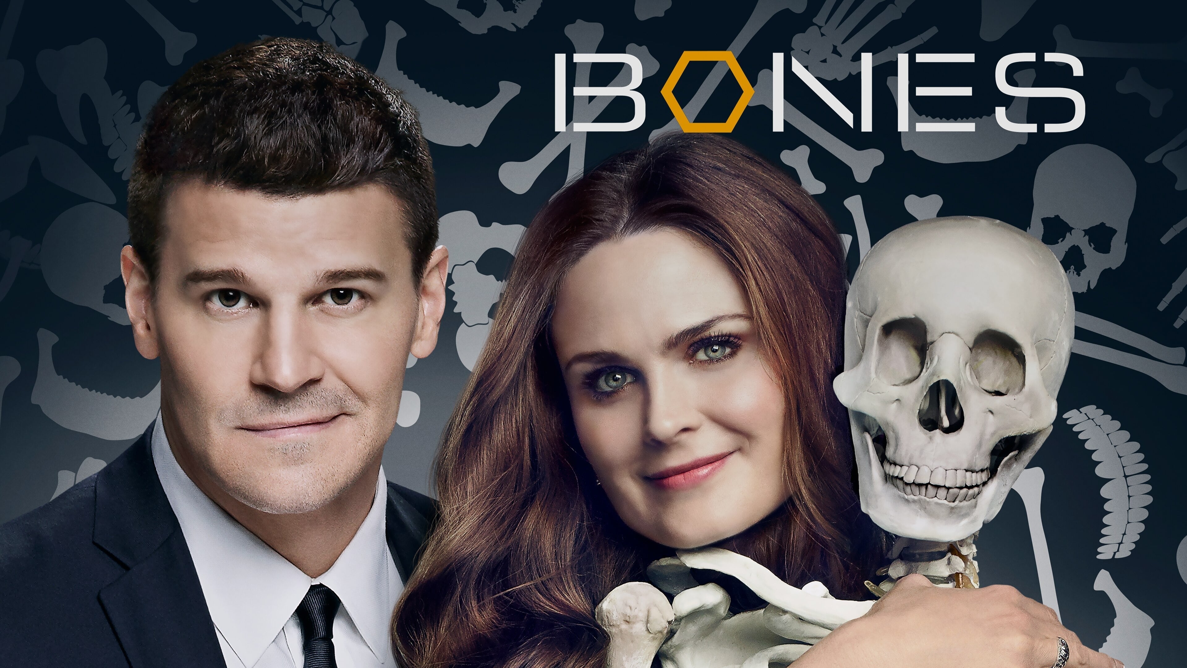 Bones Season 4 (2008) พลิกซากปมมรณะ ปี 4