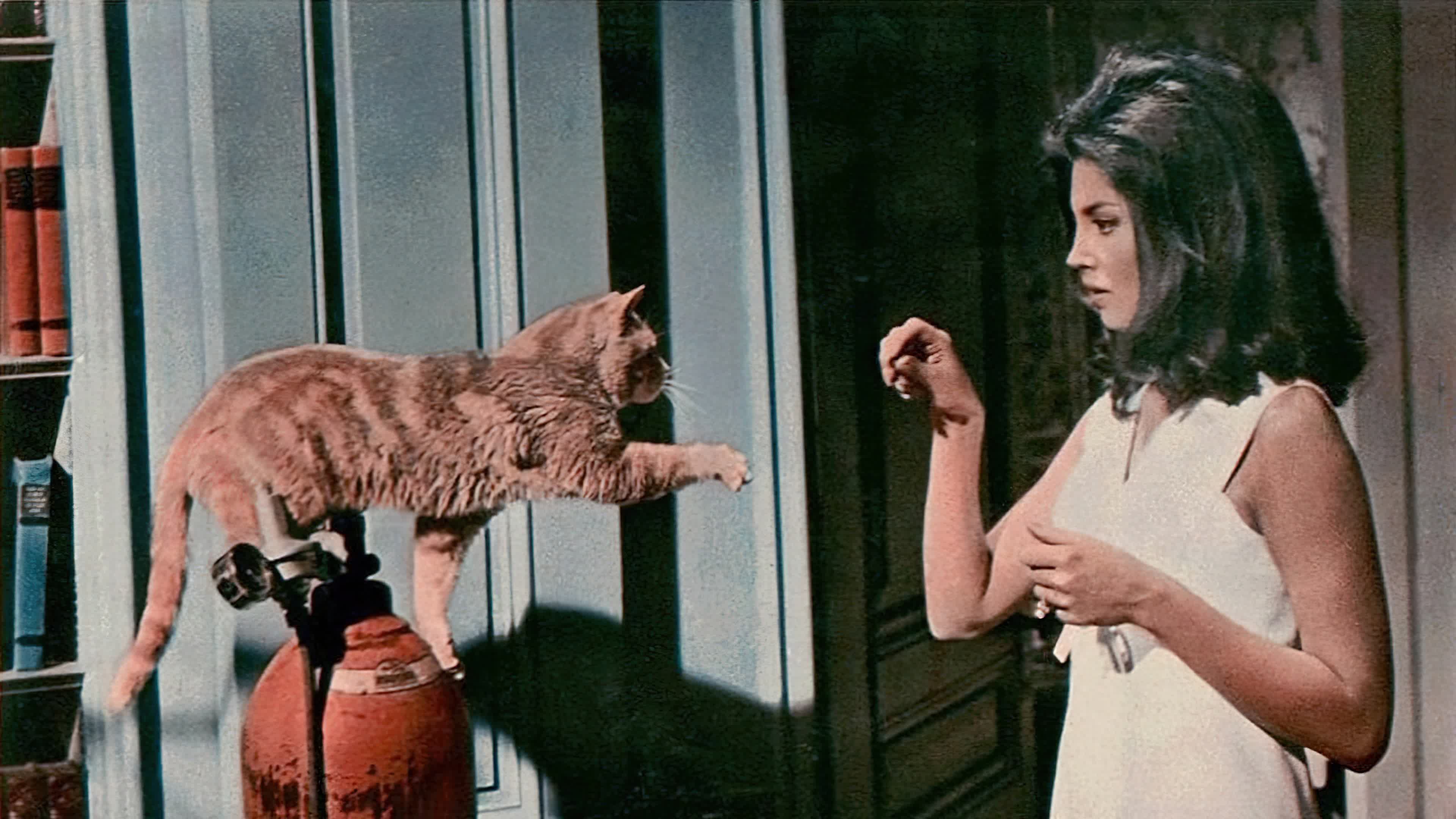 Eye of the Cat (1969) [NoSub]