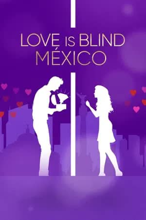 Love is Blind Mexico Season 1 (2024) วิวาห์แปลกหน้า เม็กซิโก